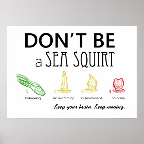 Dont Be A Sea Squirt with Color Images _ Poster