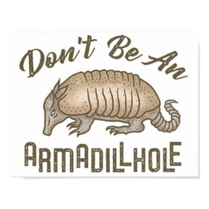 Don't be an Armadillhole Funny Armadillo Animal Poster