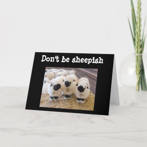 DONT BE SHEEPISH AT 60 SAYS SHEEP CARD