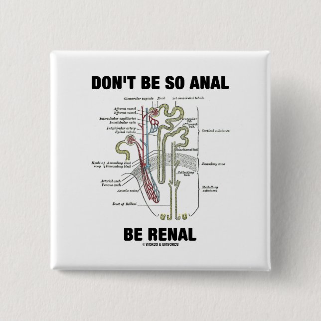 Don't Be So Anal Be Renal (Kidney Nephron) Button (Front)