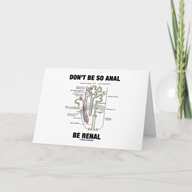 Don't Be So Anal Be Renal (Kidney Nephron) Card (Front)