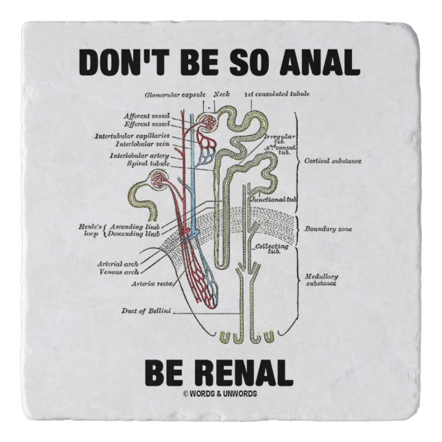 Don't Be So Anal Be Renal Kidney Nephron Humor Trivet (Front)