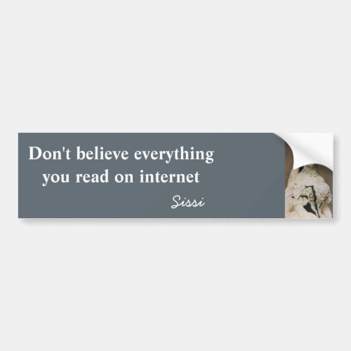 Dont believe everything you read on internet bumper sticker