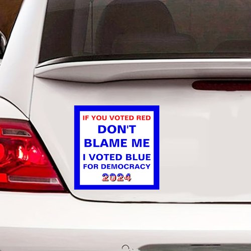 Dont Blame Me I Voted Blue Car Magnet