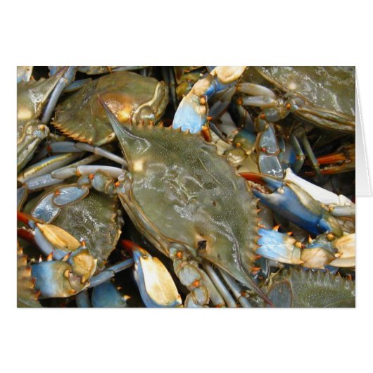 Don't Bother Me...I'm Crabby! Cards (Front Horizontal)