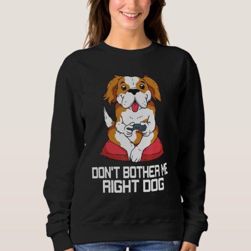 Dont Bother Me Right Meow  Funny Video Gamer  Ca Sweatshirt