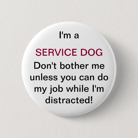 Don T Touch Service Dog In Training Don T Touch Service Dog In Training