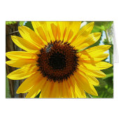 Don't breath too deep (Front Horizontal)