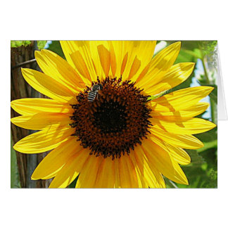 Don't breath too deep