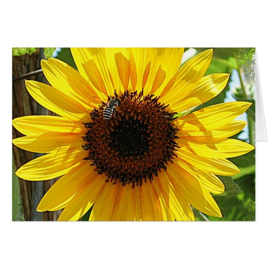 Don't breath too deep (Front Horizontal)