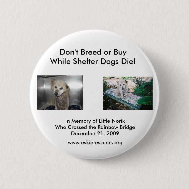 Don't Breed or Buy... Button (Front)