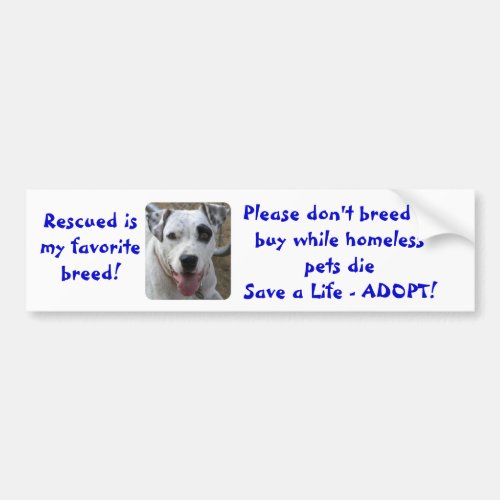 Dont Breed or Buy While Homeless Pets Die Bumper Sticker