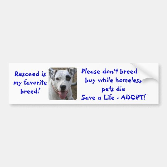 Don't Breed or Buy While Homeless Pets Die Bumper Sticker | Zazzle.com