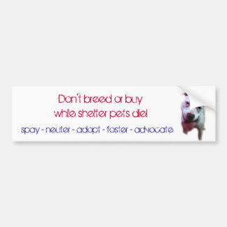 don't breed or buy while shelter pets die bumper sticker