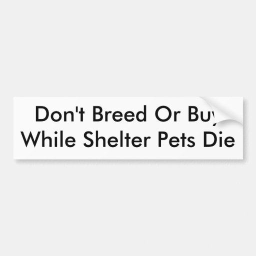 Don't Breed Or BuyWhile Shelter Pets Die Bumper Sticker | Zazzle