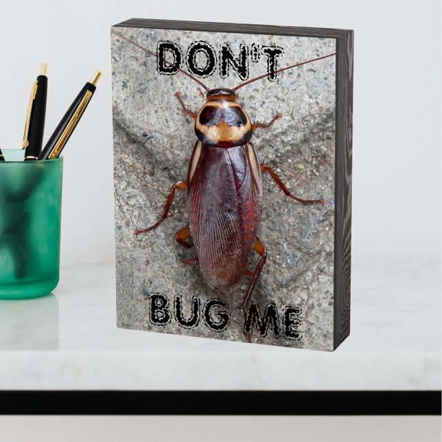 Don't Bug Me Cockroach Meme Wooden Box Sign (In Situ (Office))