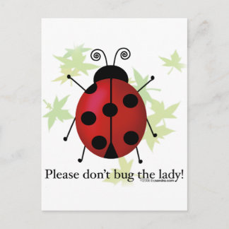 Don't bug the Lady Postcard