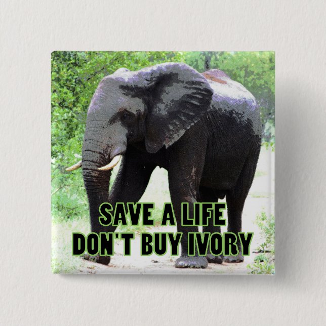Don't Buy Ivory, Save an Elephant's Life Pinback Button (Front)