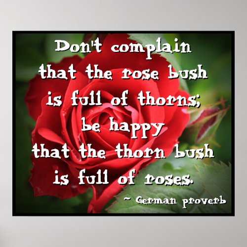 Dont Complain that the Rose Bush is Full of Thorns Poster