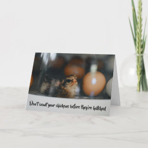 Don't Count Your Chickens Before They're Hatched - Card