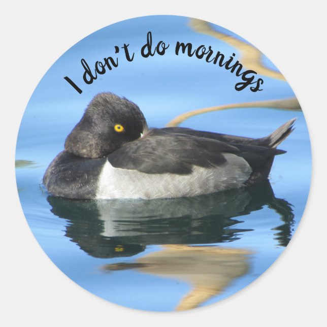 Don't Do Mornings Black White Duck  Photo Humorous Classic Round Sticker (Front)