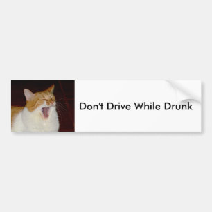 Don't drive drunk Cat Bumper Sticker