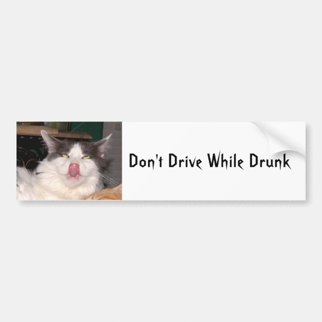 Dont drive drunk Funny cat Bumper Sticker (Front)