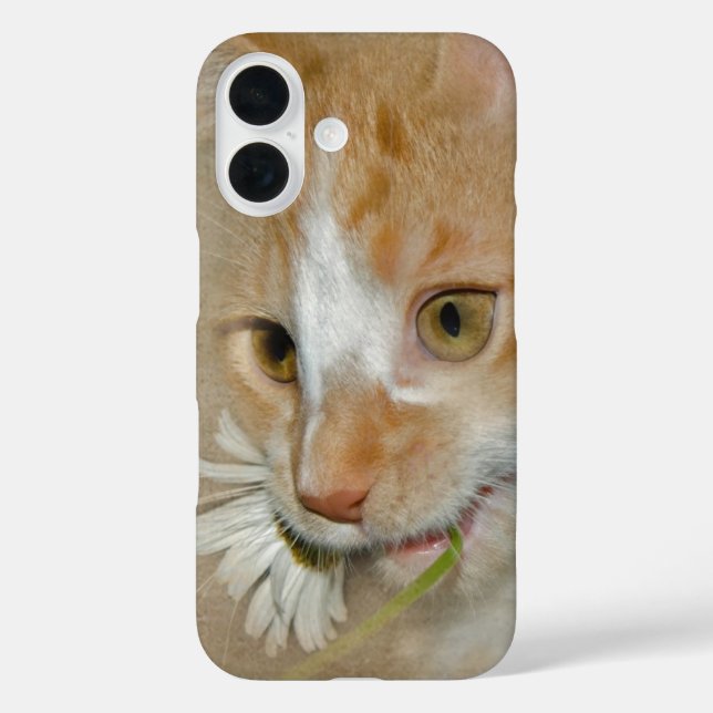 Don't Eat The Daisy Case-Mate iPhone Case (Back)