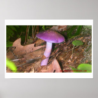 Don't Eat the Mushroom Poster