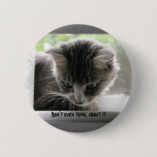 Don't even think about it pinback button
