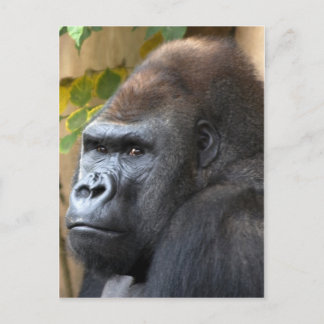 Don't Even Think It... Postcard