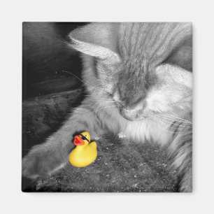'Don't Feed the Cat' Rubber Duck Magnet
