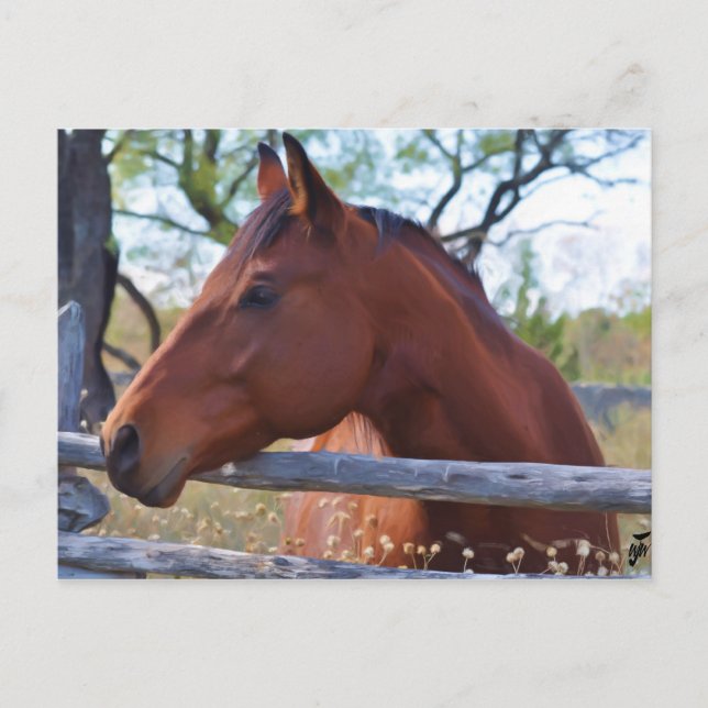 Don't fence me in postcard (Front)