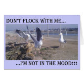 Don't Flock With Me (Front Horizontal)