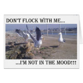 Don't Flock With Me (Front Horizontal)