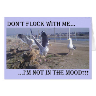 Don't Flock With Me Cards