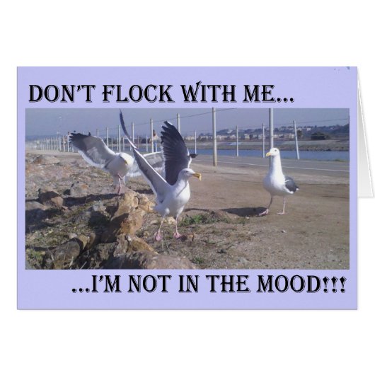Don't Flock With Me Cards (Front Horizontal)