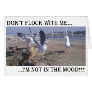 Don't Flock With Me Cards
