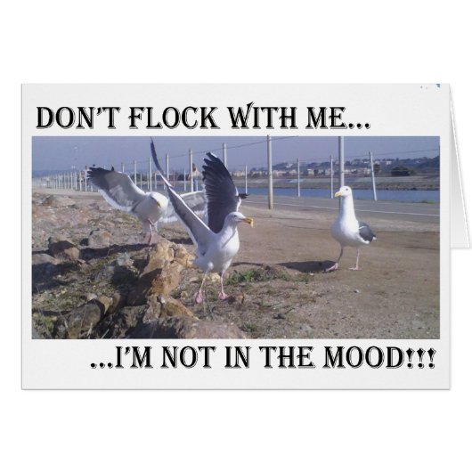 Don't Flock With Me Cards (Front Horizontal)