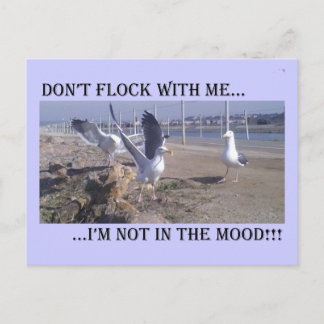 Don't Flock With Me Postcard