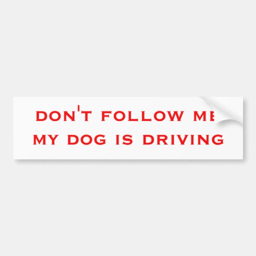 don't follow me my dog is driving bumper sticker | Zazzle