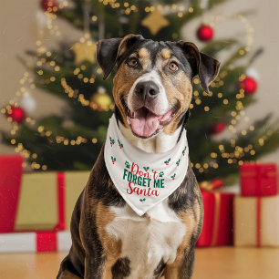Don't Forget Me Pet Bandana Collar