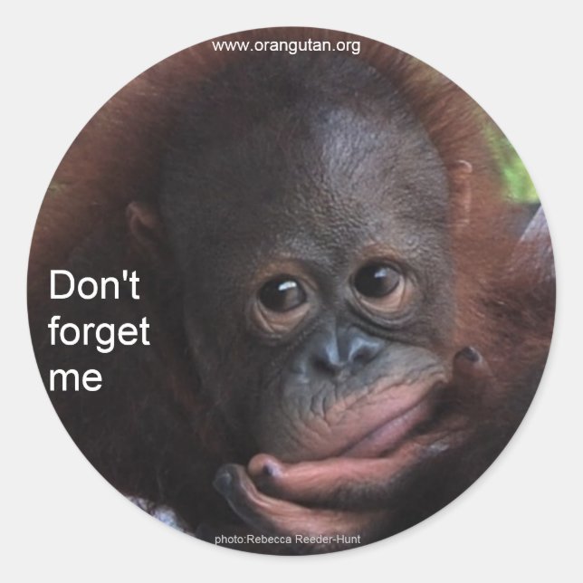 Don't Forget Me (Primate Baby) Classic Round Sticker (Front)
