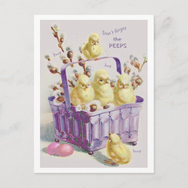 "DON'T FORGET THE PEEPS"CHICKIE GRAM EASTER BASKET HOLIDAY POSTCARD (Front)