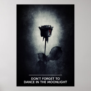 Don't Forget to Dance in the Moonlight Black Rose Poster