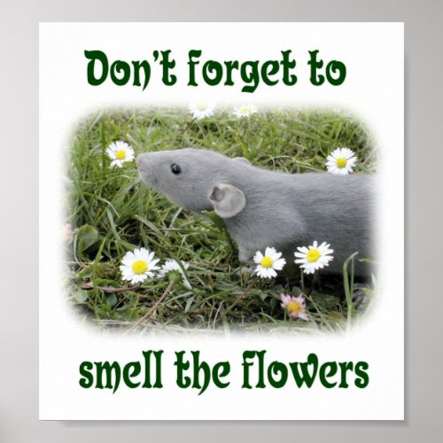 Dont forget to smell the flowers poster