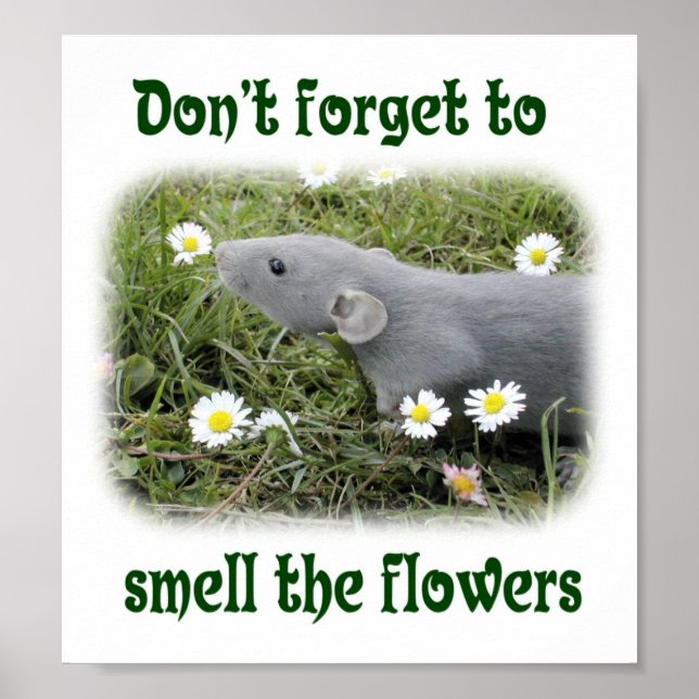 Don't forget to smell the flowers poster (Front)