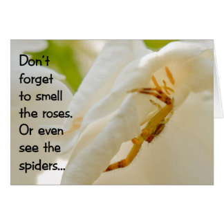 Don't forget to smell the roses cards