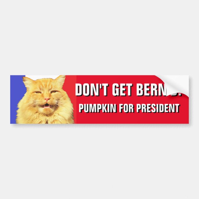 Don't Get Bern'd 2020 Pumpkin for President Bumper Sticker (Front)