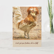 Don't Get Your Feathers All In A Fluff Card